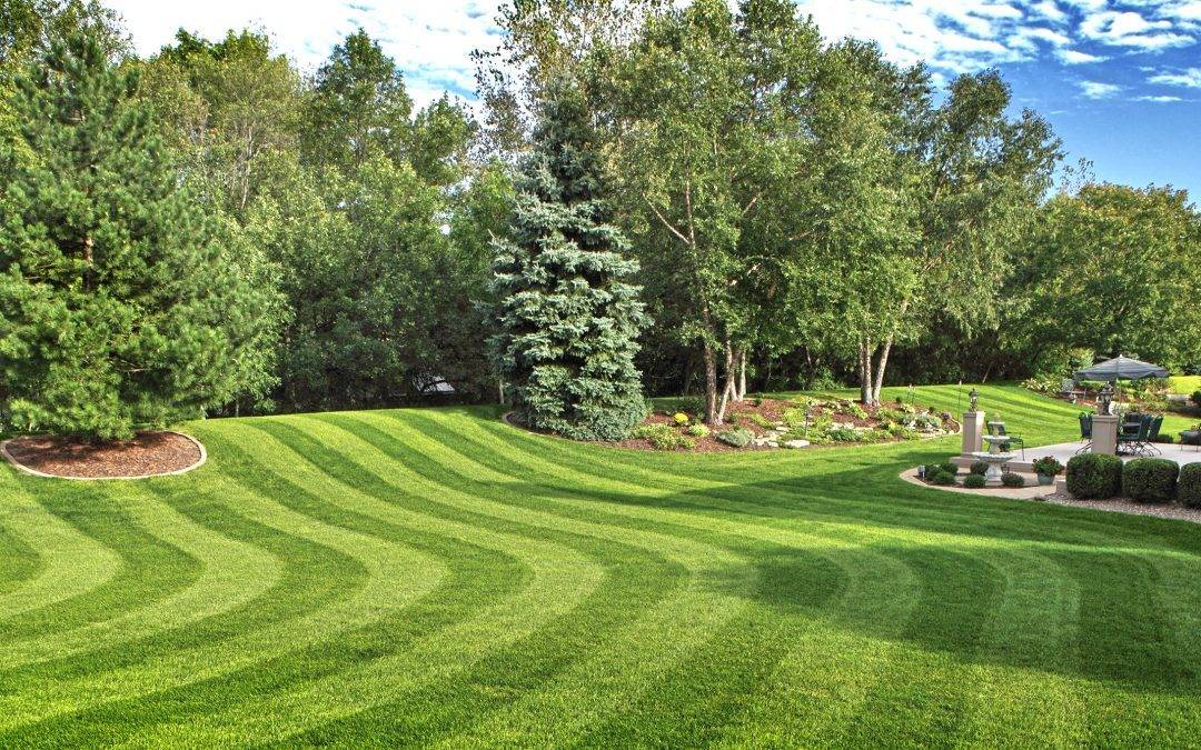 lawn and GARDEN MAINTAIN