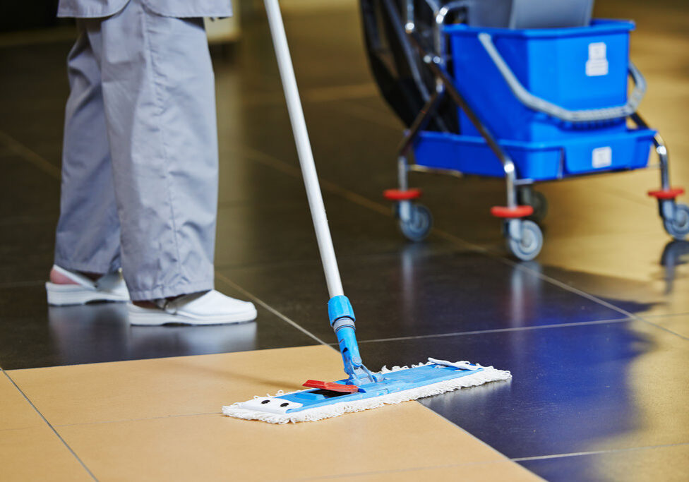 Professional Housekeeping